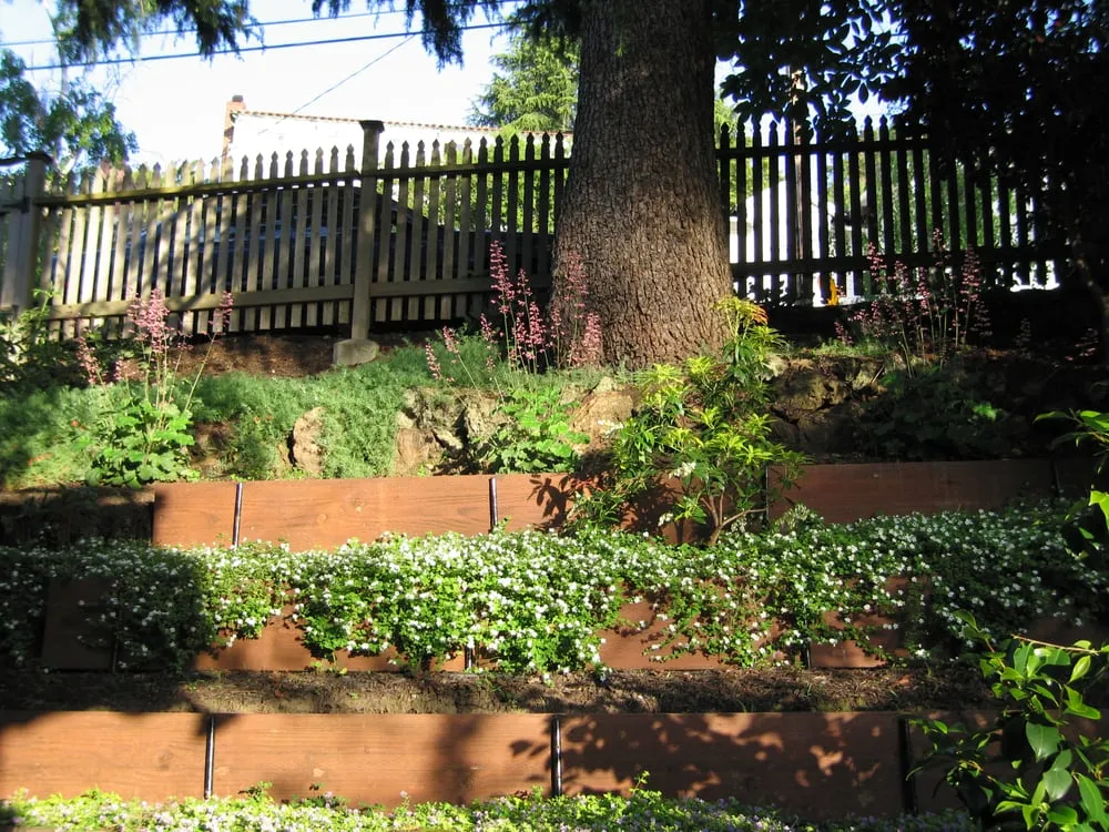 Expert yard cleanup service in Berkeley, CA by Nature's Creations