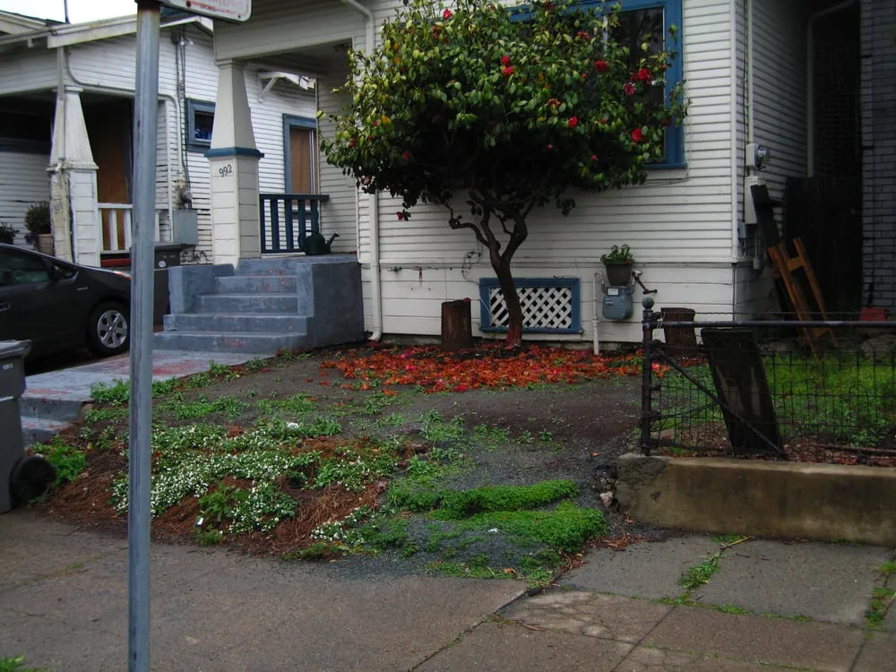 Custom yard maintenance experts serving Berkeley, CA - Nature's Creations