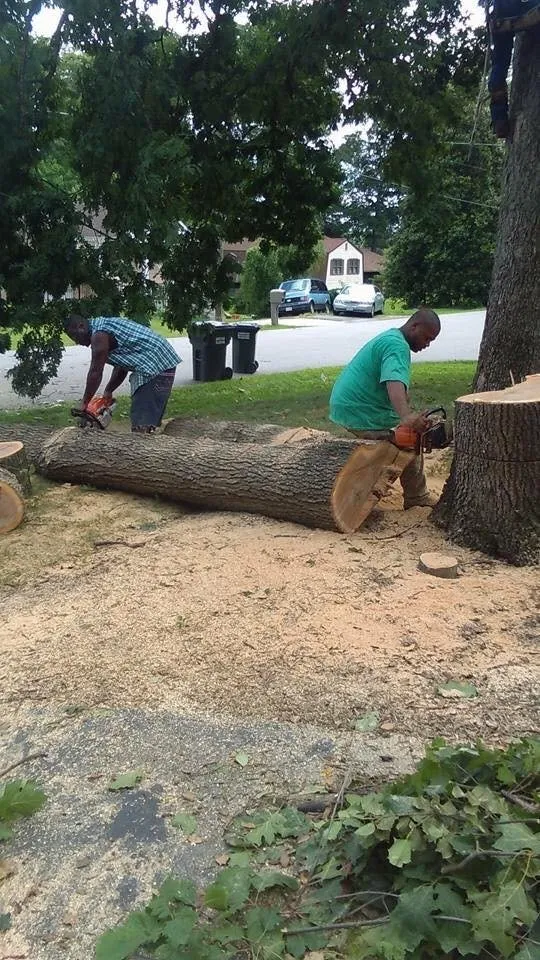 Top-rated landscape design in Midland, VA - Natures Curves Tree and Landscaping Specialist