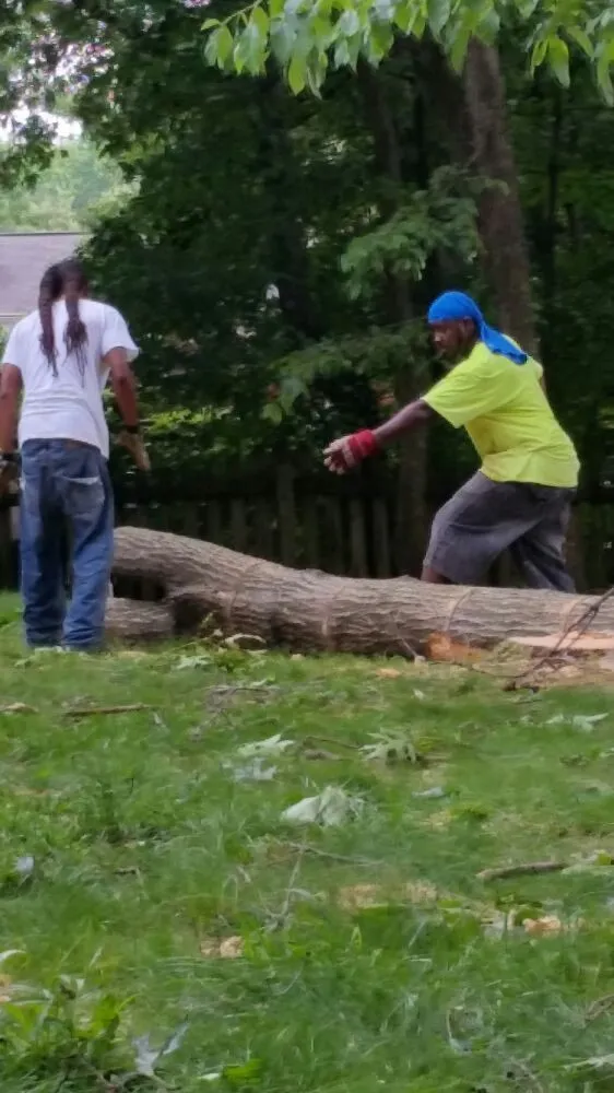Reliable landscaping services in Midland, VA by Natures Curves Tree and Landscaping Specialist