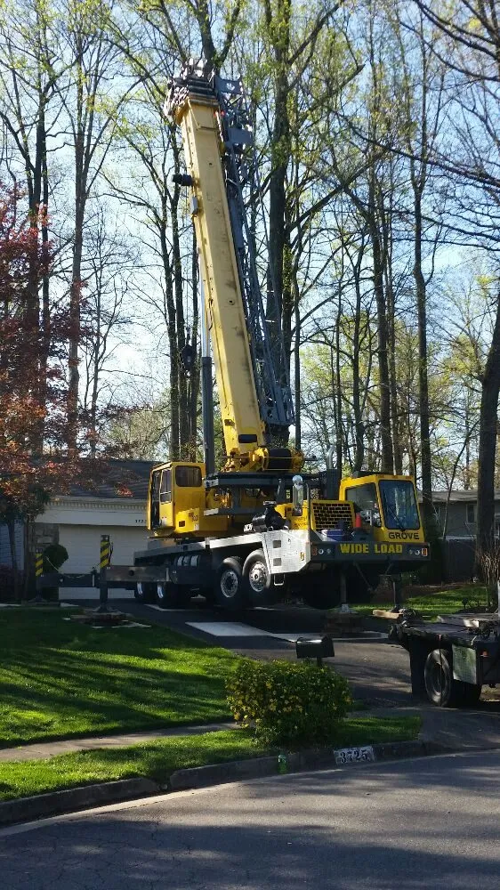 Reliable lawn care service for outdoor upgrades across Midland, VA - Natures Curves Tree and Landscaping Specialist