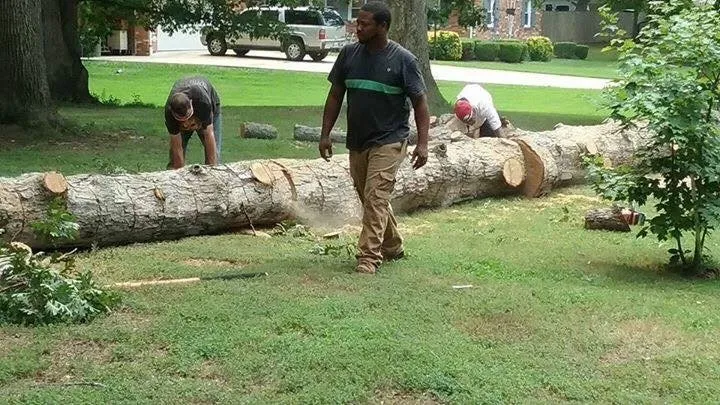 Custom landscape installation experts serving Midland, VA - Natures Curves Tree and Landscaping Specialist