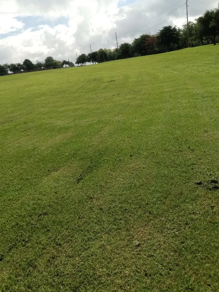 Top-rated landscaping services near you in Huntsville, AL by Nature's Customs