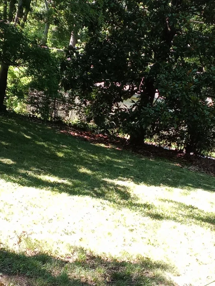 Expert outdoor landscaping in Huntsville, AL by Nature's Customs