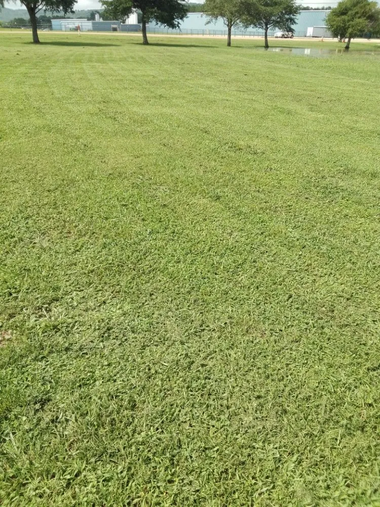 Local residential landscaping in Huntsville, AL by Nature's Customs