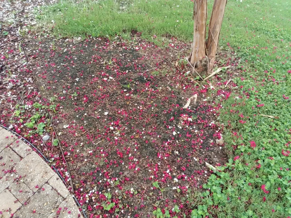 Trusted garden landscaping for homes across Huntsville, AL - Nature's Customs