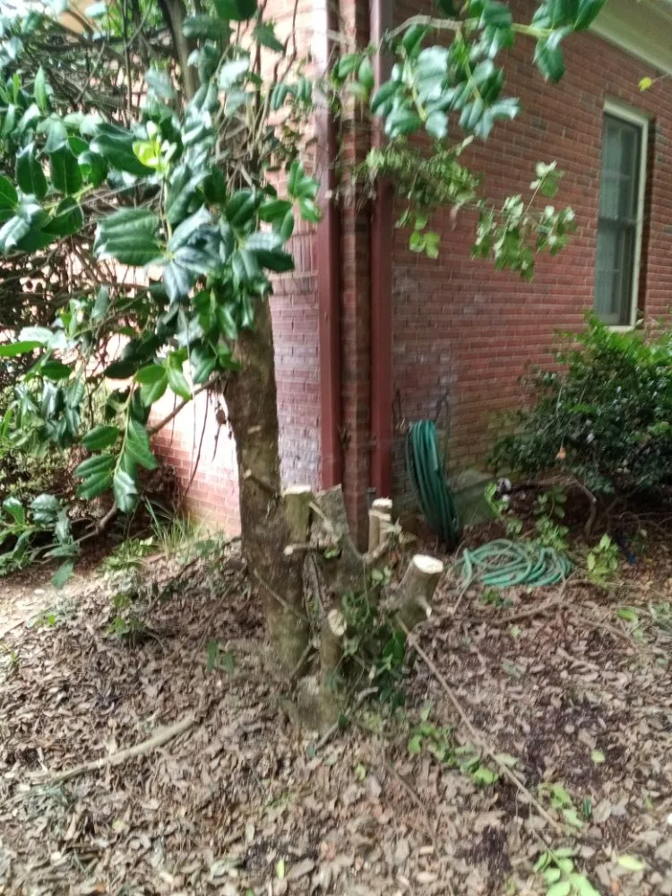 Professional residential landscaping in Huntsville, AL by Nature's Customs