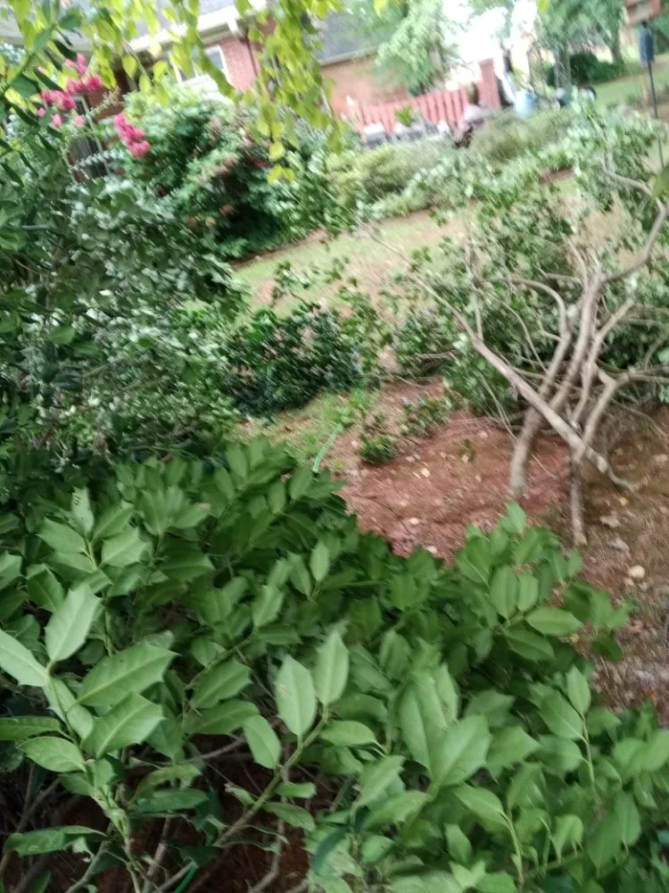 Affordable yard cleanup service in Huntsville, AL by Nature's Customs