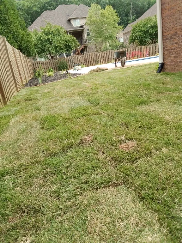 Top-rated yard cleanup service for homes across Huntsville, AL - Nature's Customs