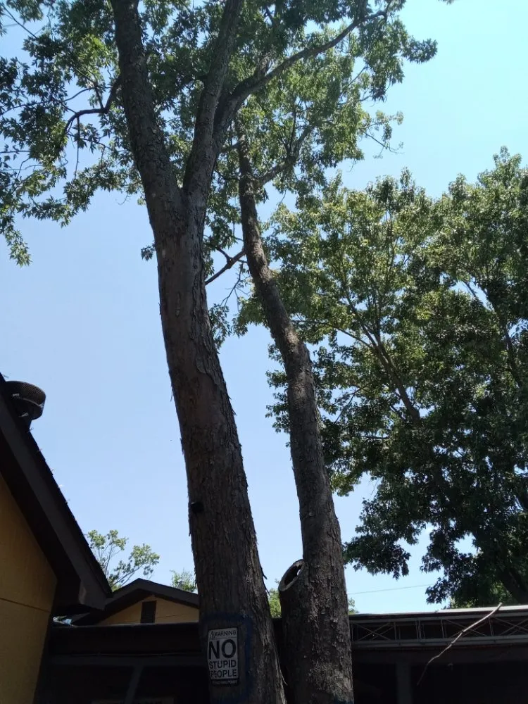 Reliable lawn mowing service in Huntsville, AL by Nature's Customs