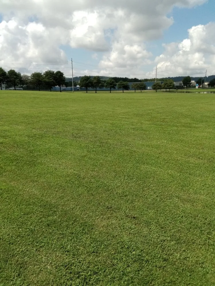 Expert outdoor landscaping experts serving Huntsville, AL - Nature's Customs