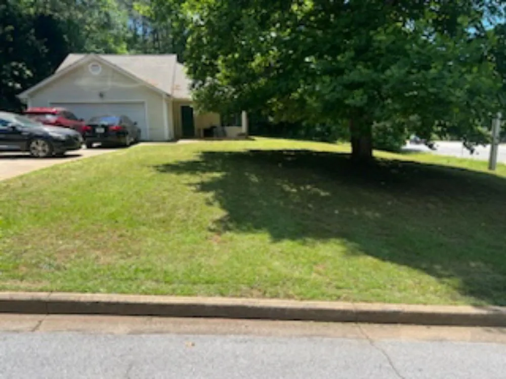 Professional lawn care service experts serving San Bernardino, CA - Nature's Cut Lawn Services