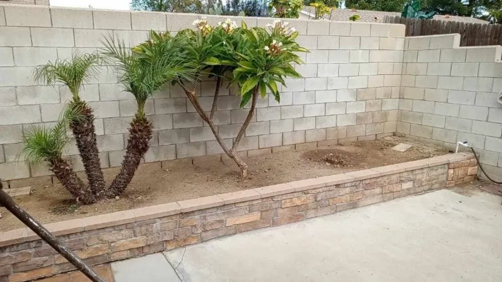 Custom lawn care service in San Bernardino, CA - Nature's Cut Lawn Services