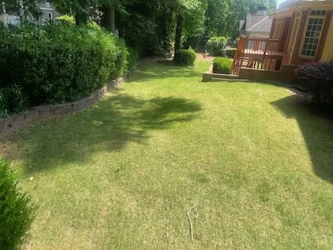 Top-rated yard cleanup service near you across San Bernardino, CA - Nature's Cut Lawn Services