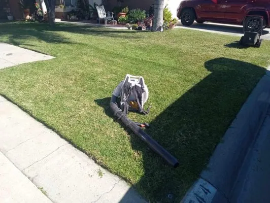 Nature's Cut Lawn Services Logo