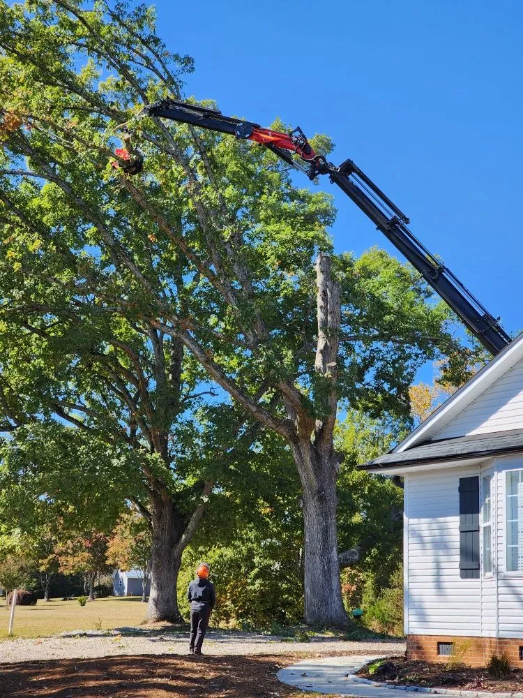 Reliable yard cleanup service in Easley, SC - Nature's Design