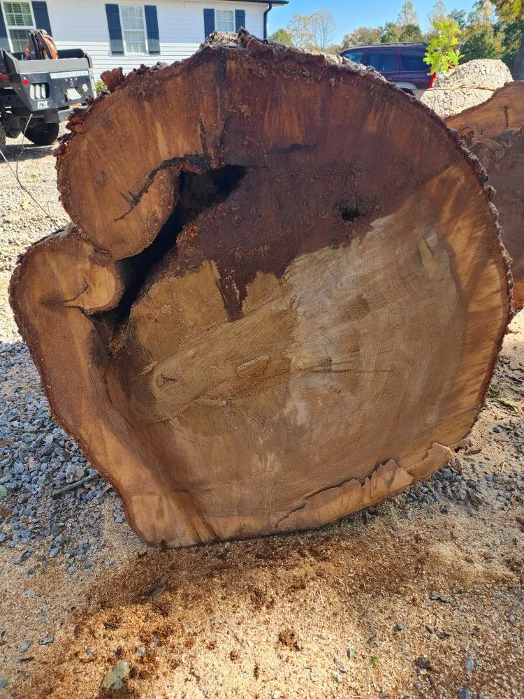 Reliable landscaping services near you in Easley, SC by Nature's Design