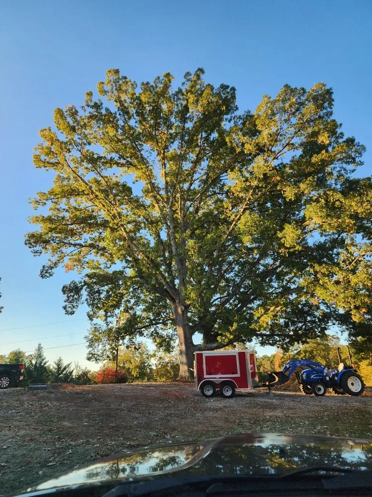 Trusted yard cleanup service with custom design in Easley, SC by Nature's Design