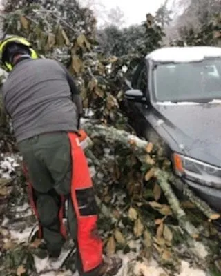 Trusted landscape design near you across Easley, SC - Nature's Design