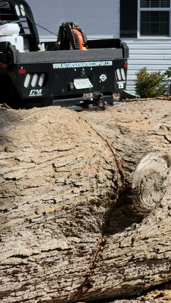 Professional landscaping services for homes in Easley, SC by Nature's Design