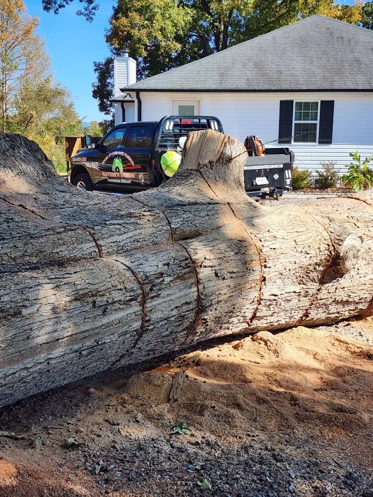 Trusted landscape design experts serving Easley, SC - Nature's Design