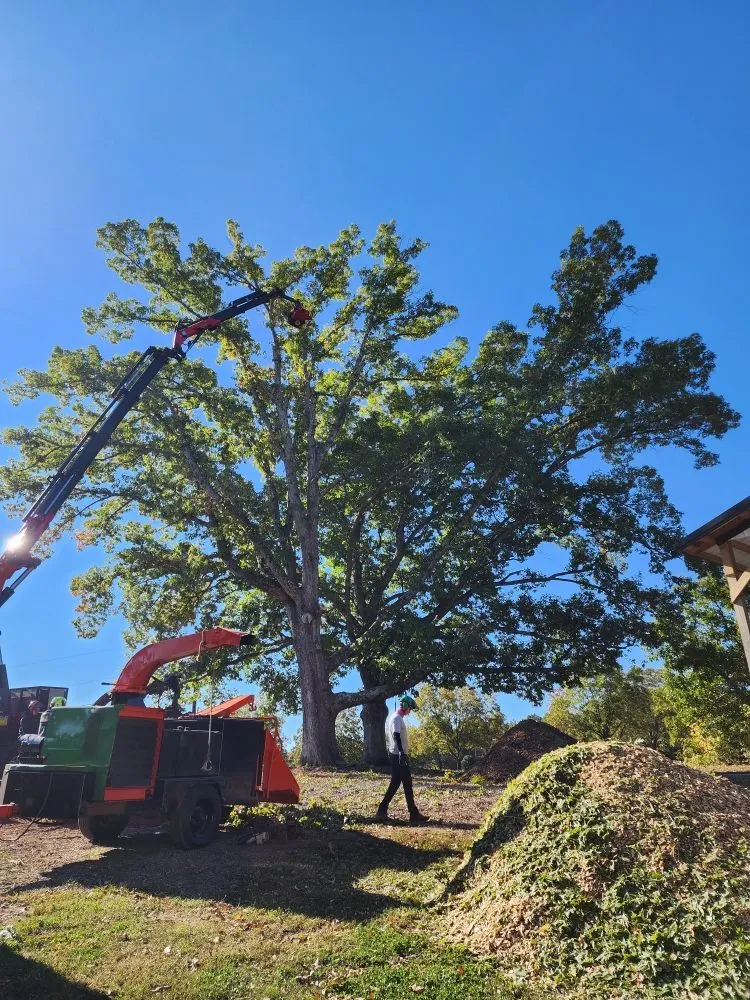 Trusted lawn mowing service experts serving Easley, SC - Nature's Design