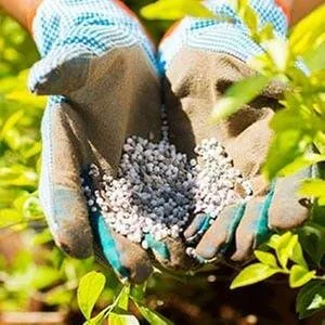 Local lawn care service in Port Orchard, WA by Nature's Design Landscaping