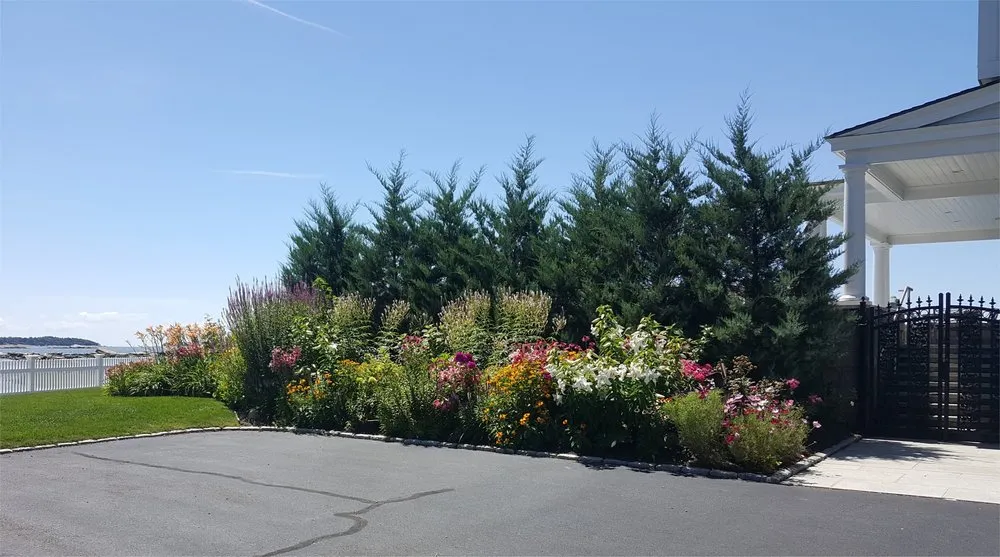 Expert lawn mowing service in Madison, CT - Nature's Design