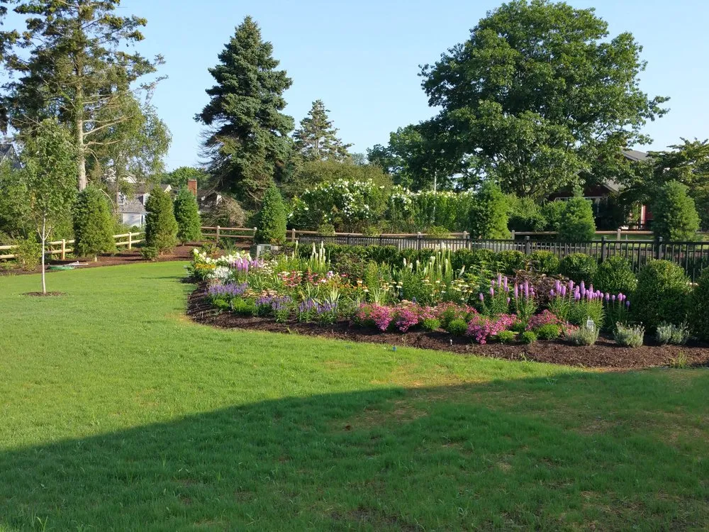 Professional yard cleanup service in Madison, CT by Nature's Design