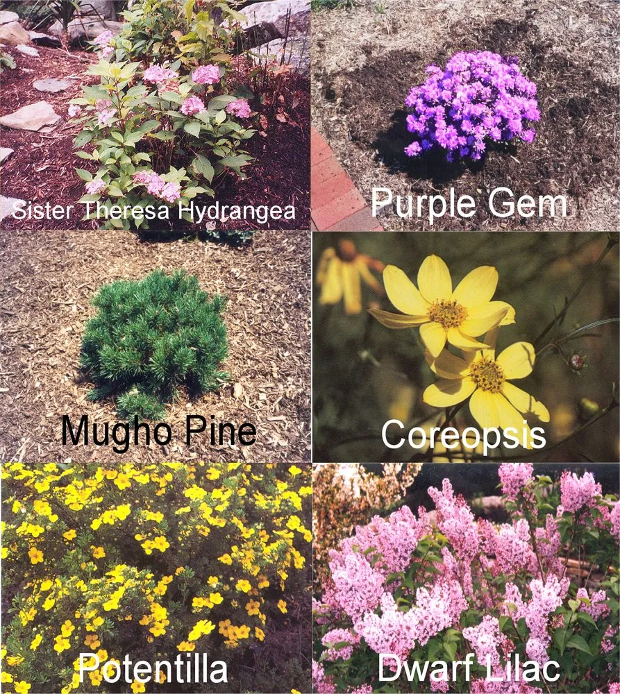 Top-rated yard maintenance in Madison, CT - Nature's Design