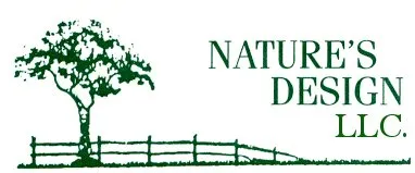 Trusted yard maintenance for year-round maintenance across Madison, CT - Nature's Design