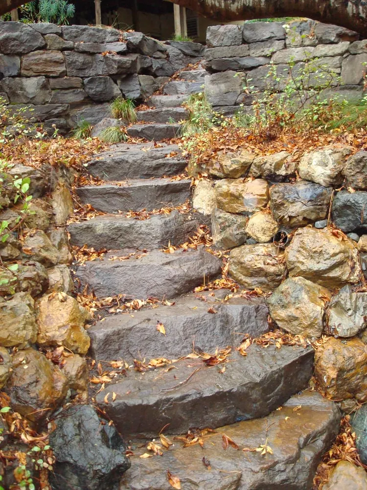 Reliable landscape installation for homes in Oakland, CA by Nature's Design