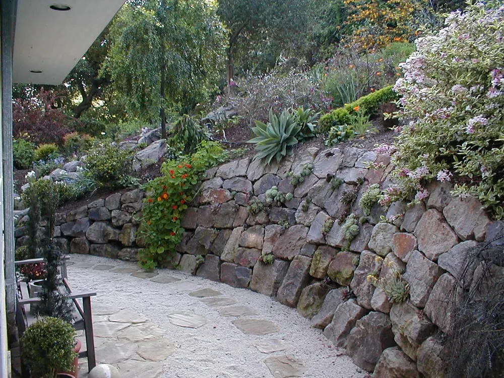 Local lawn care service in Oakland, CA - Nature's Design