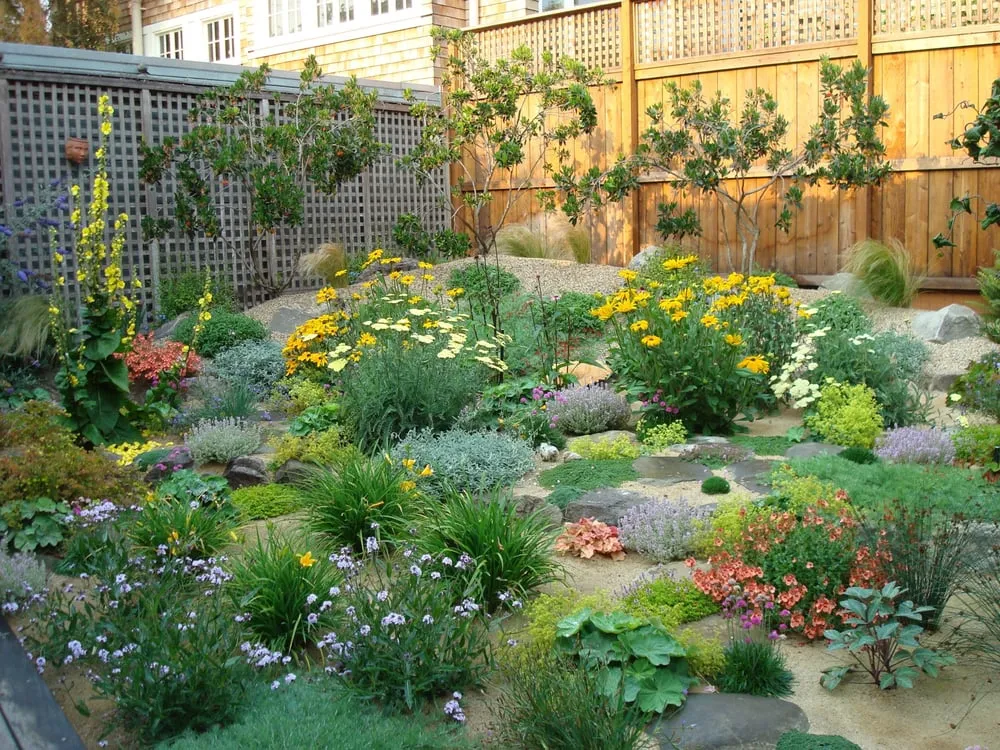 Expert landscaping services experts serving Oakland, CA - Nature's Design