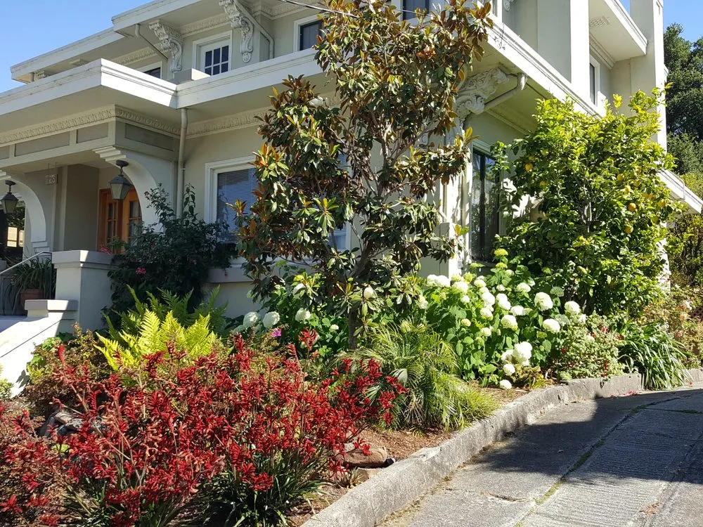 Reliable landscape installation in Oakland, CA - Nature's Design