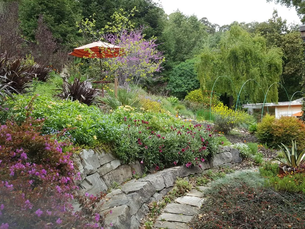 Affordable outdoor landscaping in Oakland, CA - Nature's Design