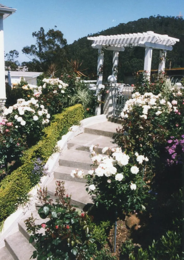 Top-rated outdoor landscaping for year-round maintenance across Oakland, CA - Nature's Design