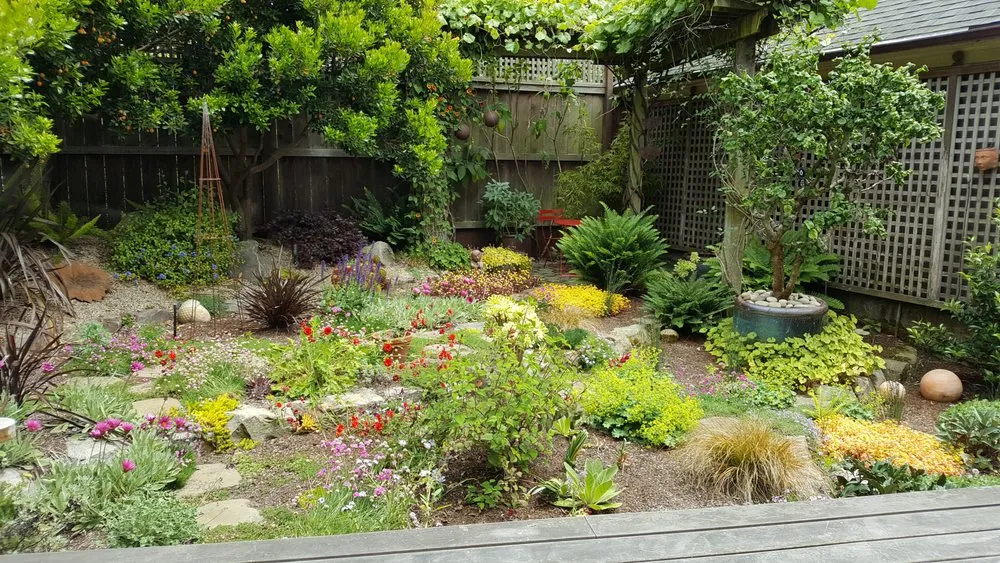 Custom landscape installation experts serving Oakland, CA - Nature's Design
