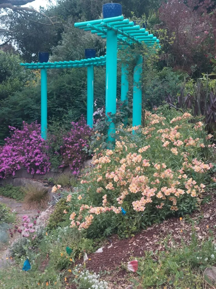 Reliable landscape design for outdoor upgrades in Oakland, CA by Nature's Design