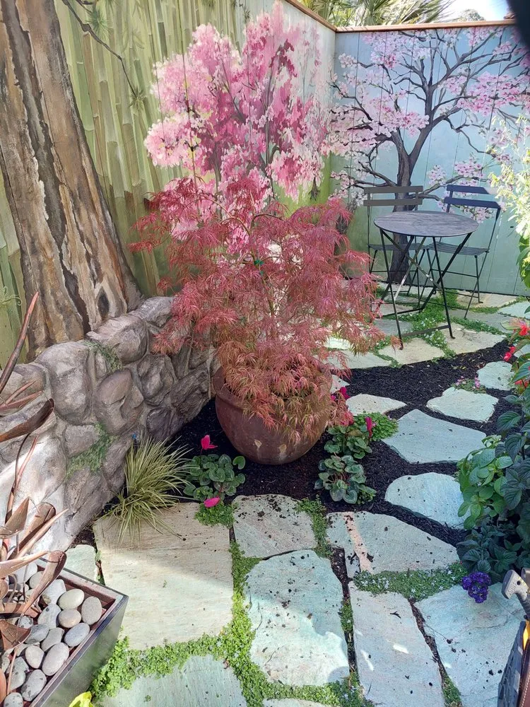 Affordable outdoor landscaping in Oakland, CA - Nature's Design