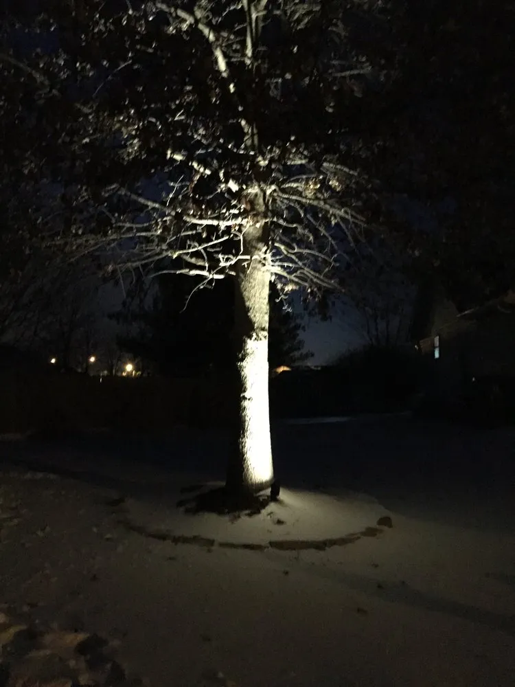 Professional landscaping services near you in Troy, IL by Nature's Design