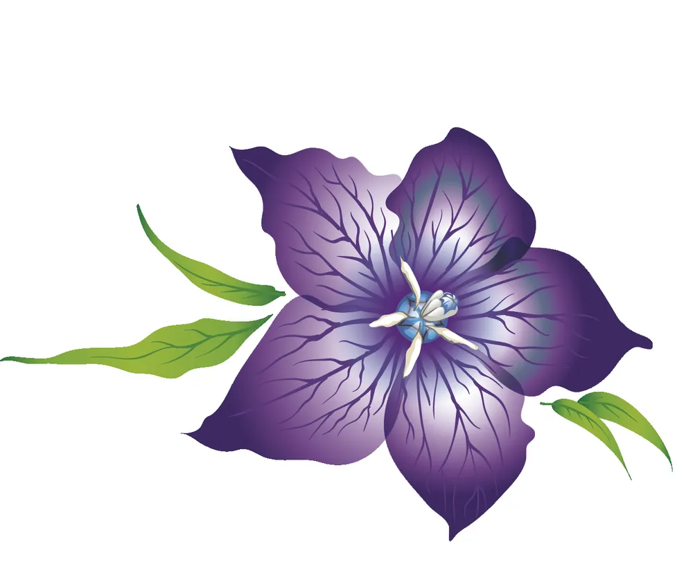 Custom yard maintenance for year-round maintenance across Guerneville, CA - Nature’s Designs