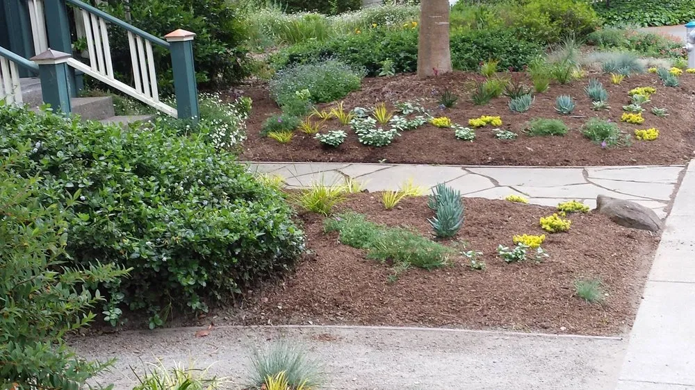 Professional lawn care service in Guerneville, CA by Nature’s Designs