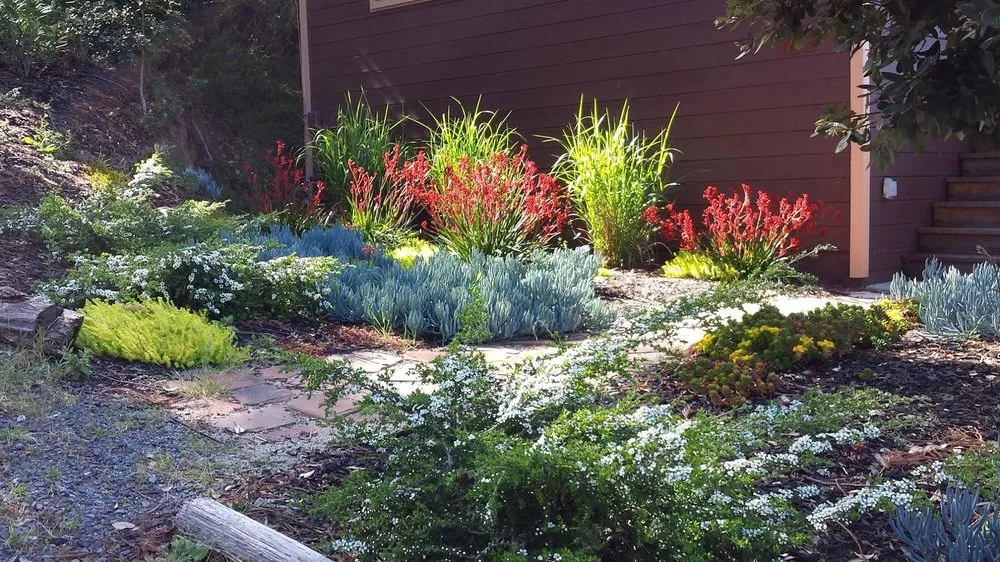Custom landscaping services in Guerneville, CA by Nature’s Designs