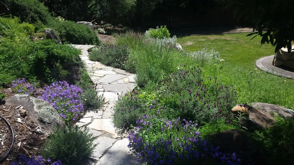 Local yard cleanup service in Guerneville, CA by Nature’s Designs