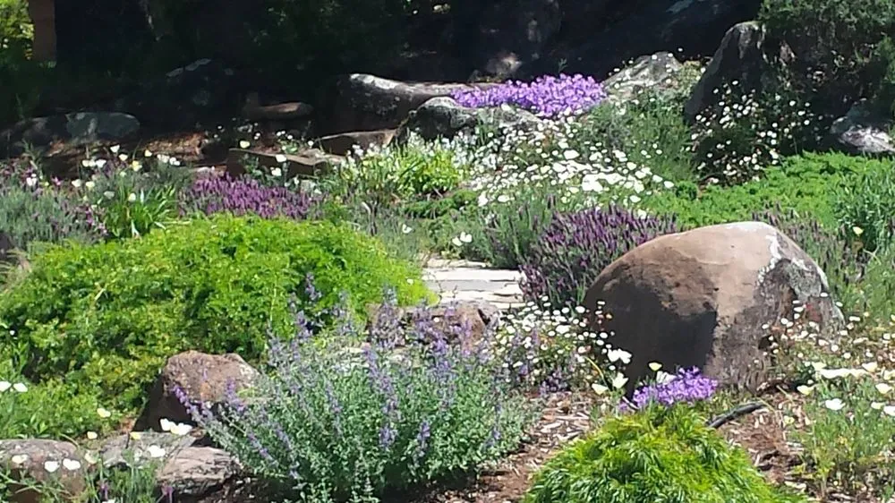 Expert landscape design with custom design across Guerneville, CA - Nature’s Designs