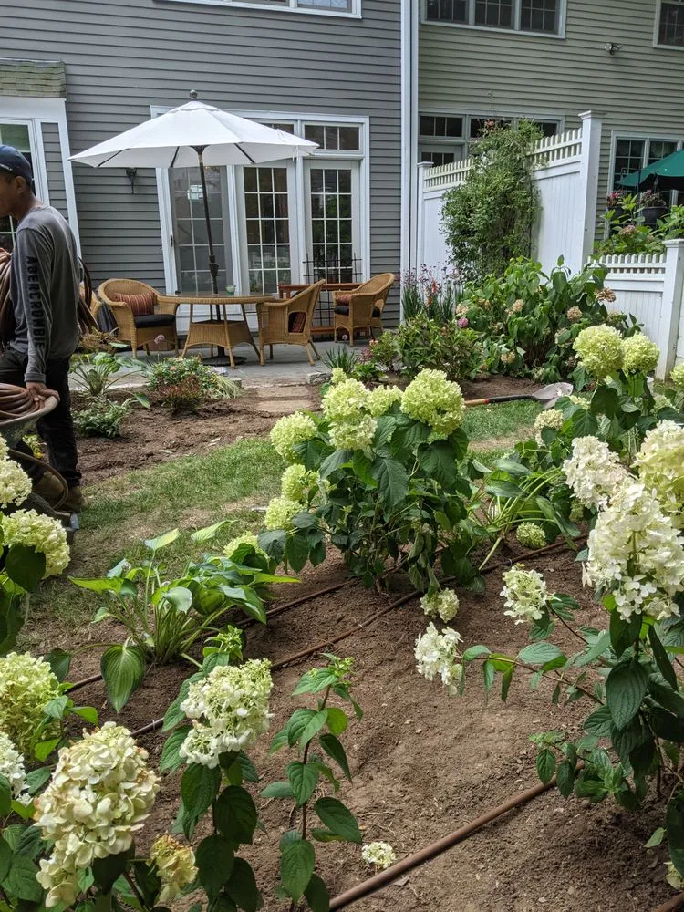 Professional lawn mowing service in Naugatuck, CT - Nature's Designs