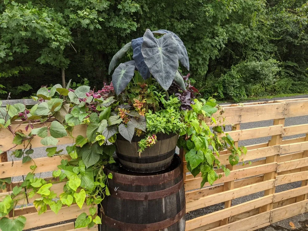 Affordable outdoor landscaping in Naugatuck, CT - Nature's Designs