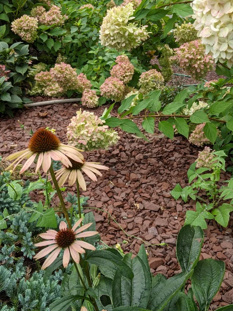 Reliable lawn mowing service in Naugatuck, CT - Nature's Designs