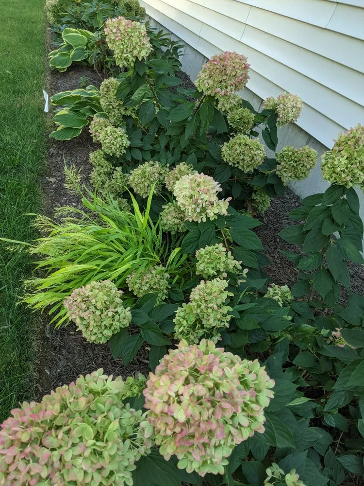 Local outdoor landscaping for residential properties across Naugatuck, CT - Nature's Designs